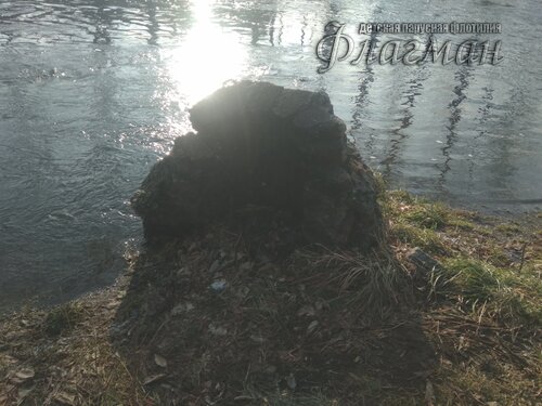 IMG_20201104_121318